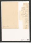 Surirella ovalis var. angusta (Kuetz.) V. H. (de-Toni-Nr.: Genus 53, Species 2271) Zeichnungen Sammlung Grunow (NHMW-BOT-W0372787)
